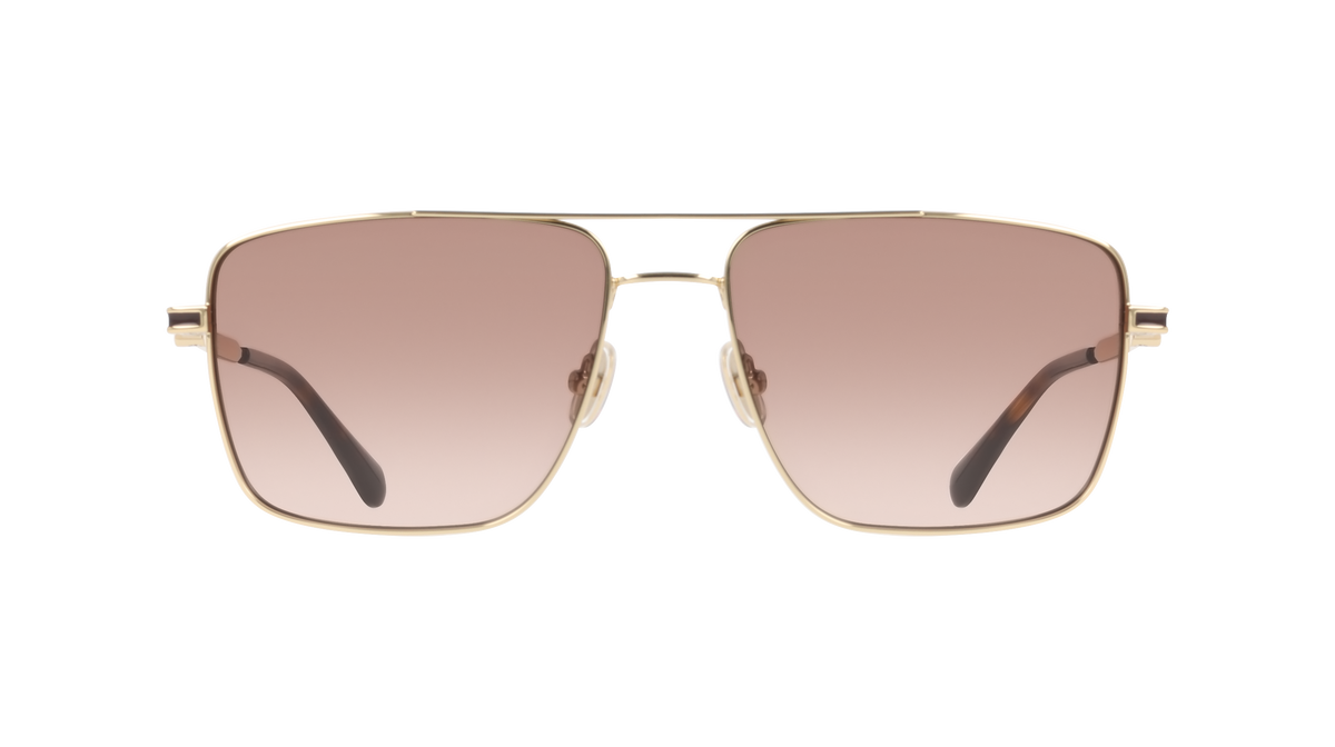 Ferragamo SF329SLBI 700