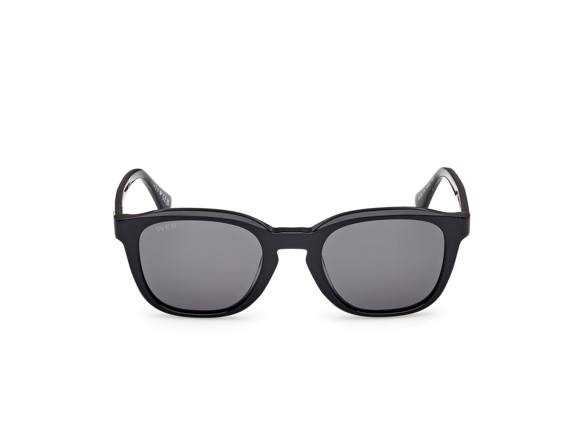 Web WE0390 01A