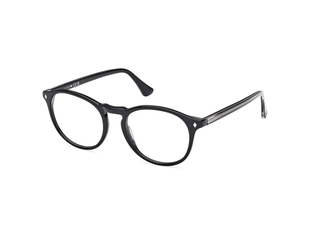 Web WE5387 003