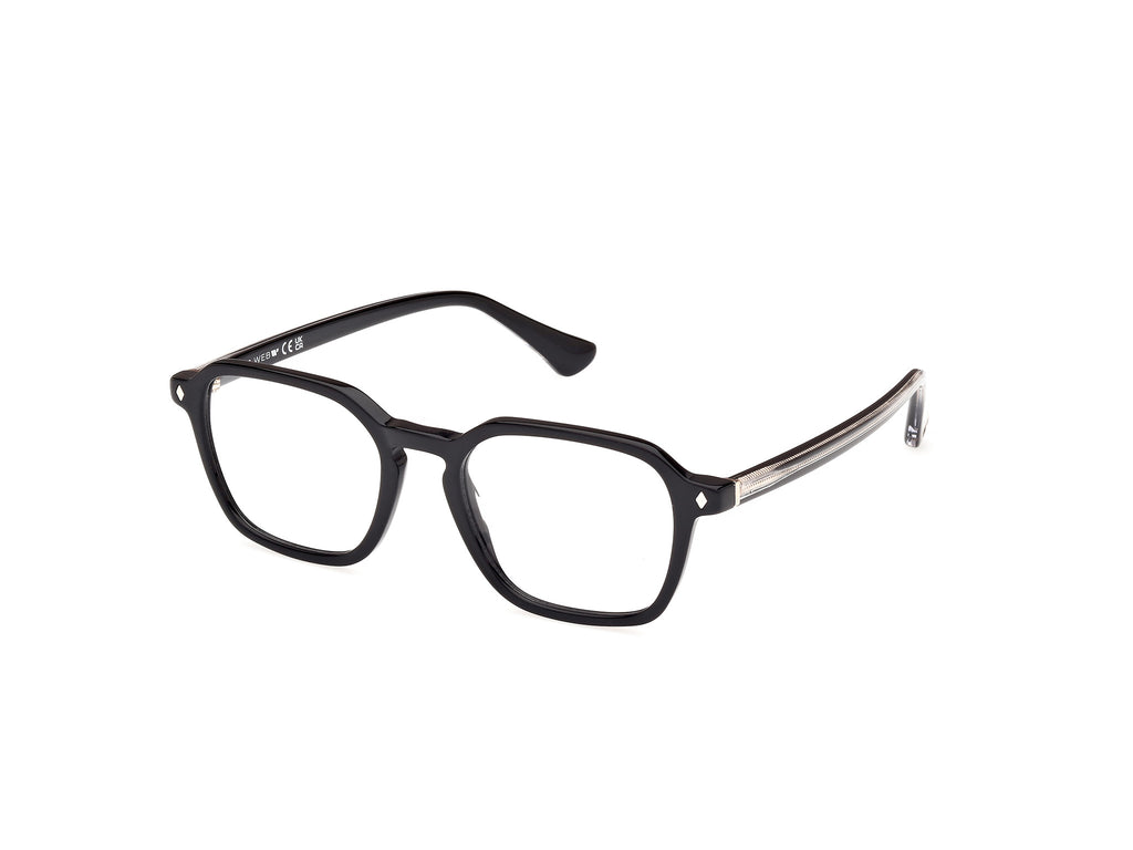 Web WE5428 001
