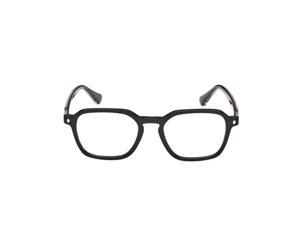 Web WE5428 001
