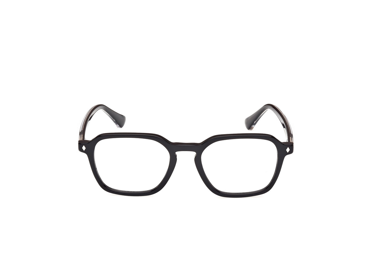 Web WE5428 001