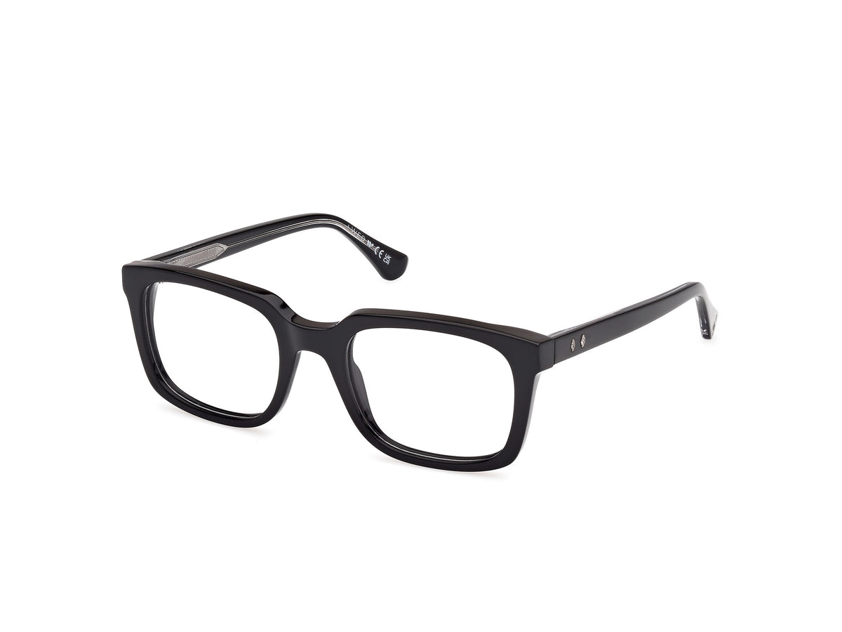 Web WE5445 005
