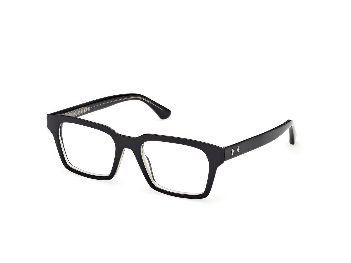 Web WE5459 005