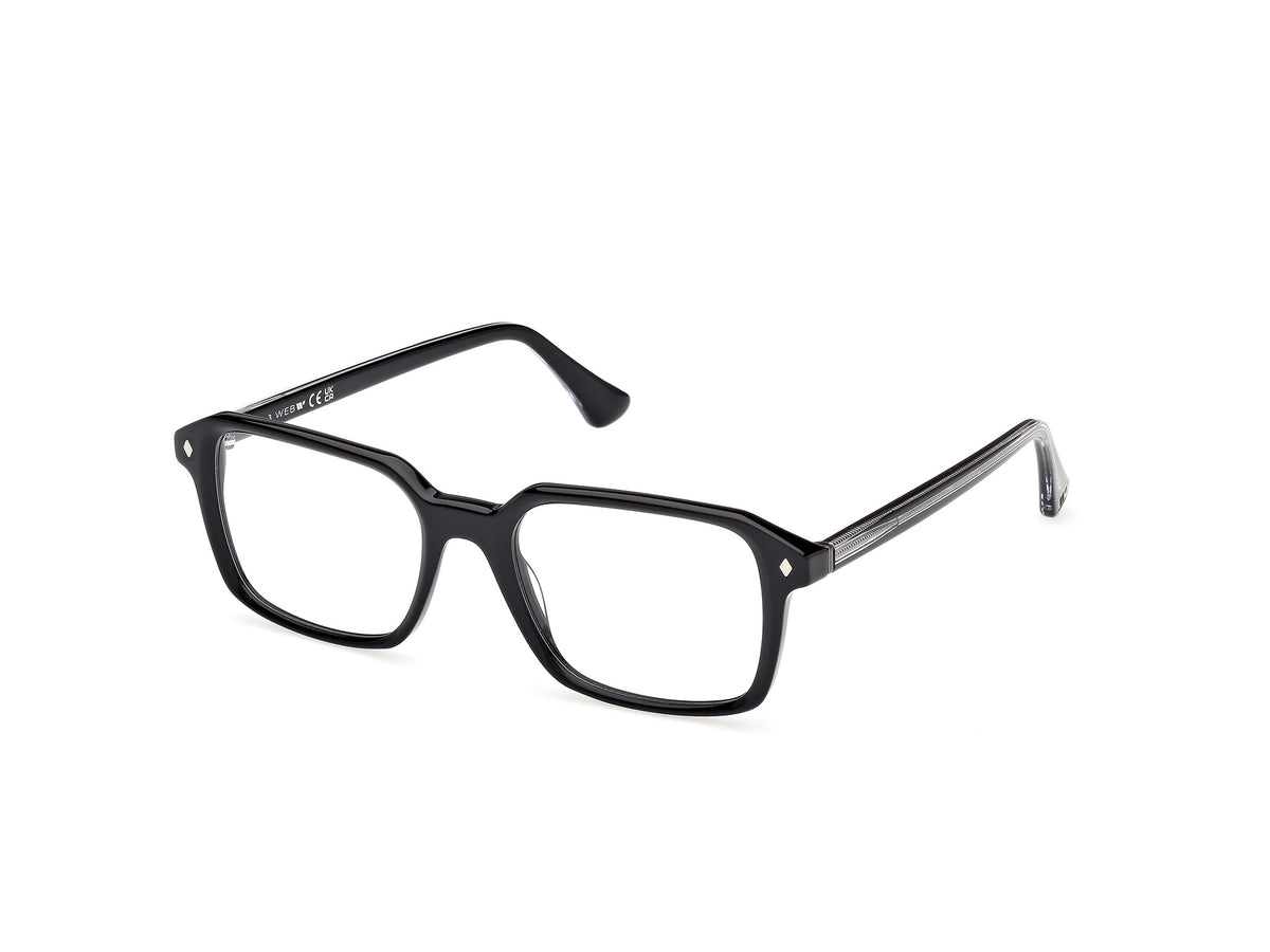 Web WE5463 005