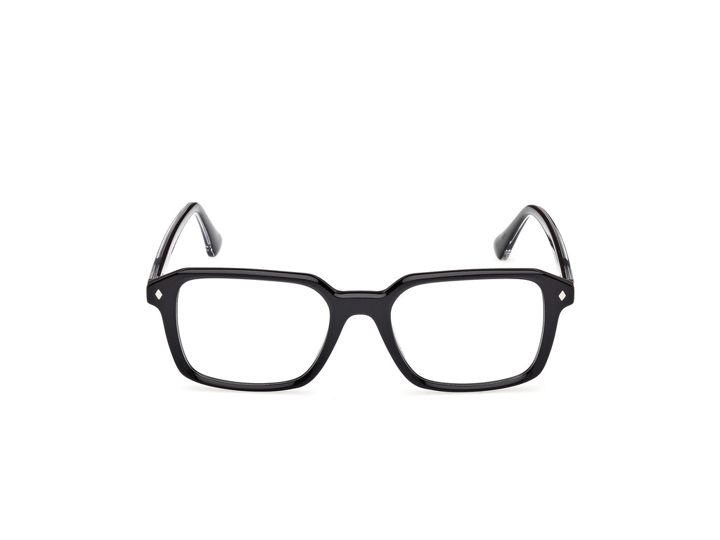 Web WE5463 005