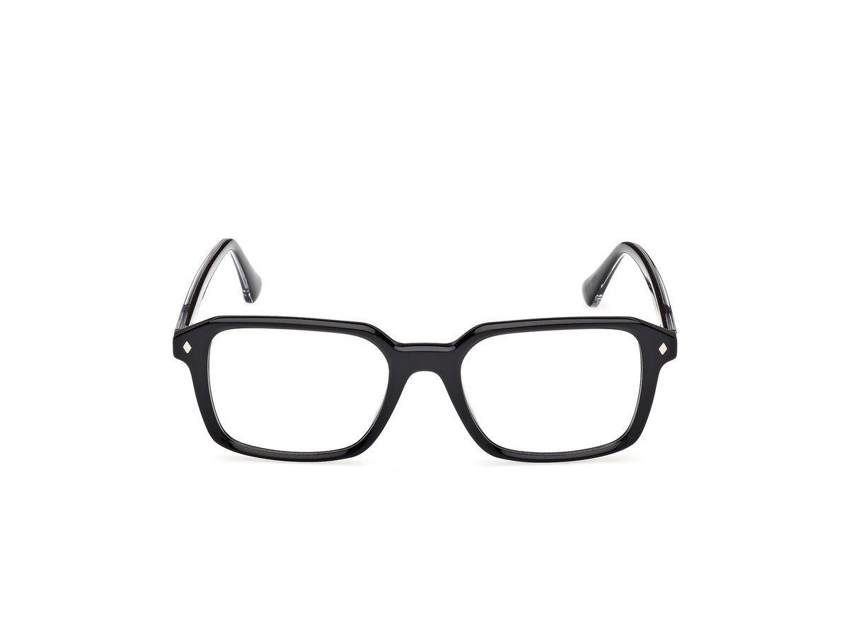 Web WE5463 005