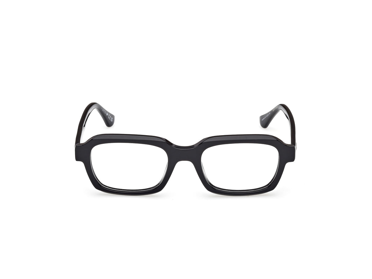 Web WE5466 001