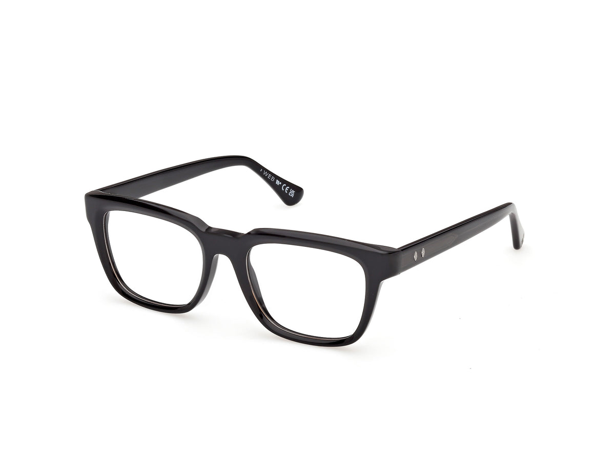 Web WE5469 005