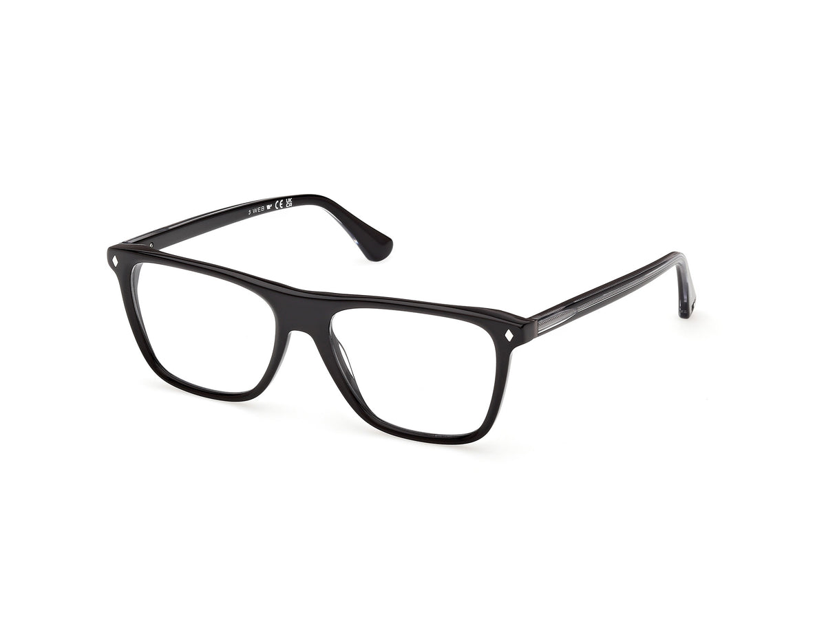 Web WE5475 005