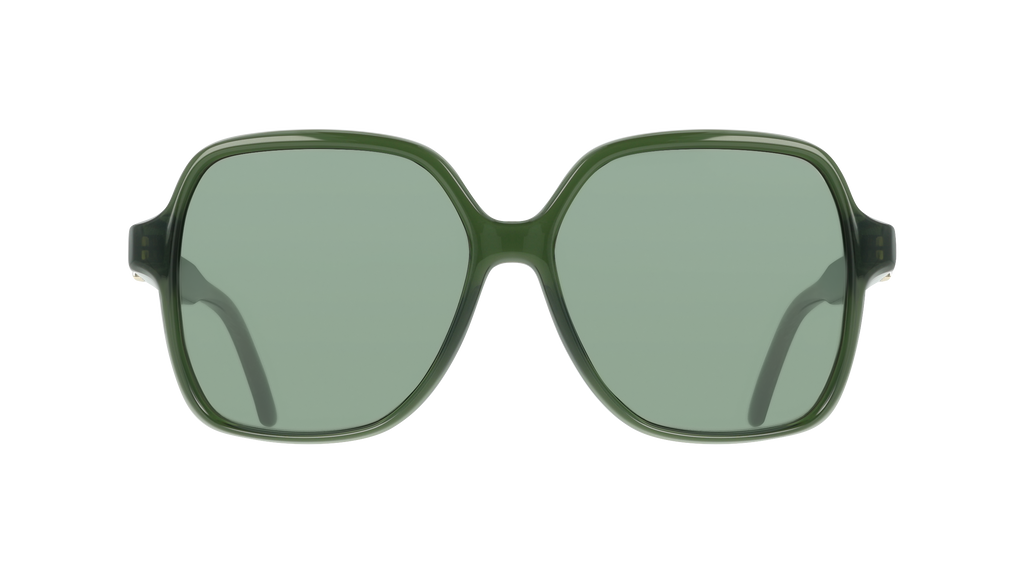 Ferragamo SF2069SE 317