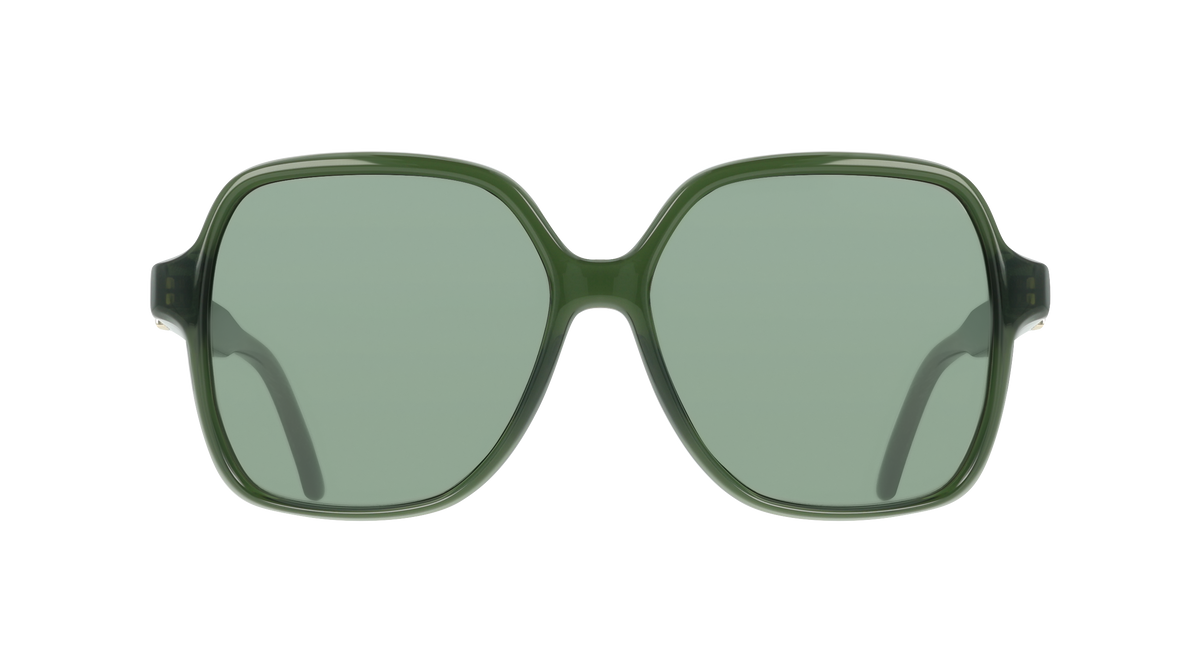 Ferragamo SF2069SE 317