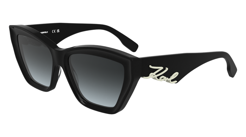 Karl Lagerfeld KL6179S 001