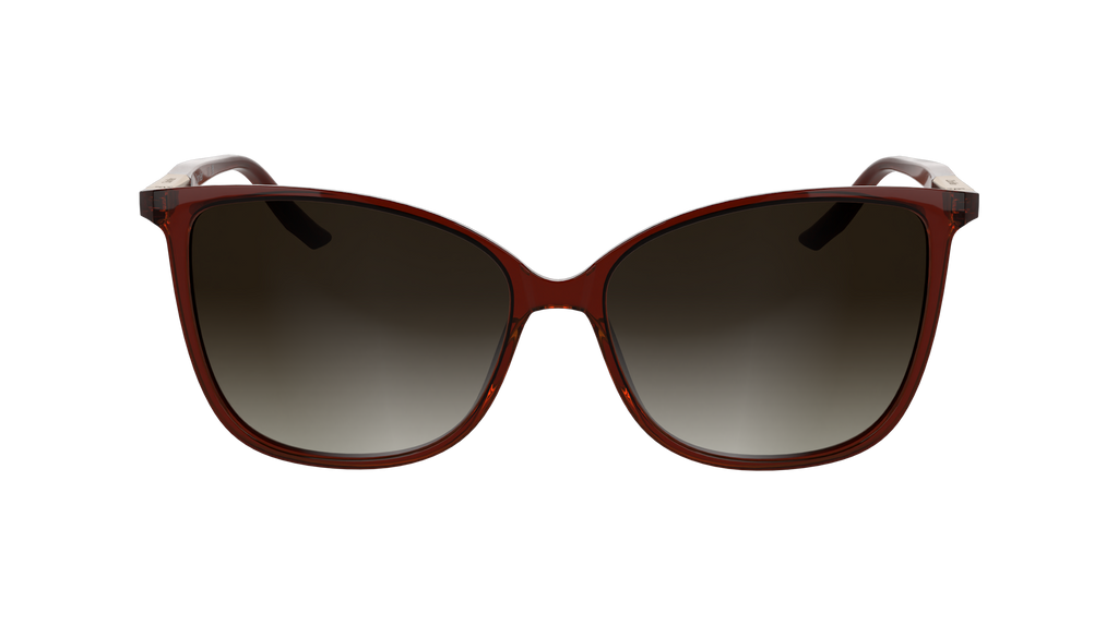 Calvin Klein CK25504S 605