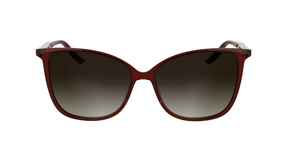 Calvin Klein CK25504S 605