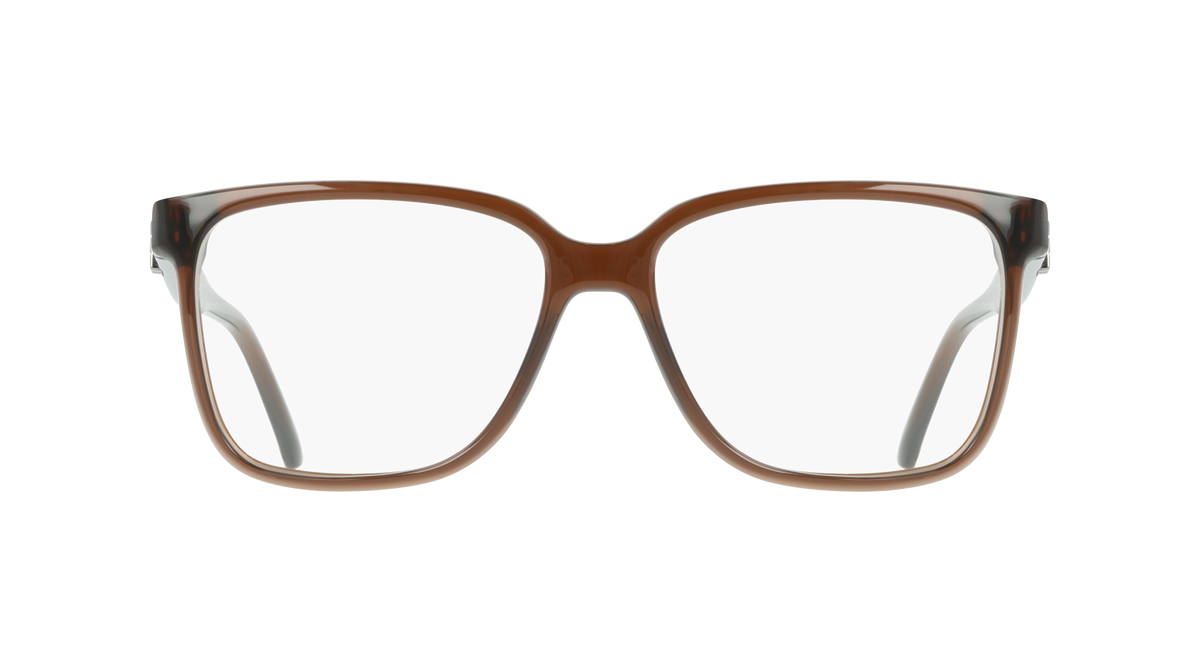 Ferragamo SF3043E 232