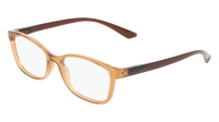 Calvin Klein CK23525N 209