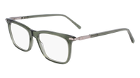 Ferragamo SF3007 317
