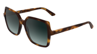 Calvin Klein CK25537S 235