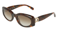 Ferragamo SF2118S 240