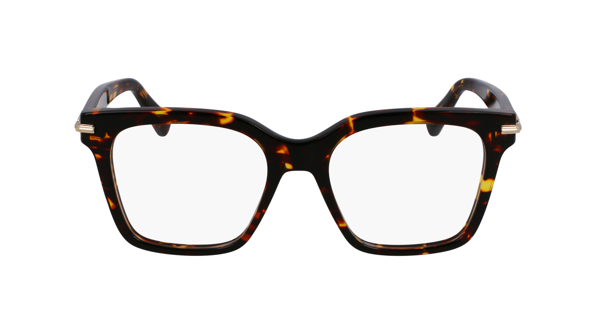 Ferragamo SF3009 242