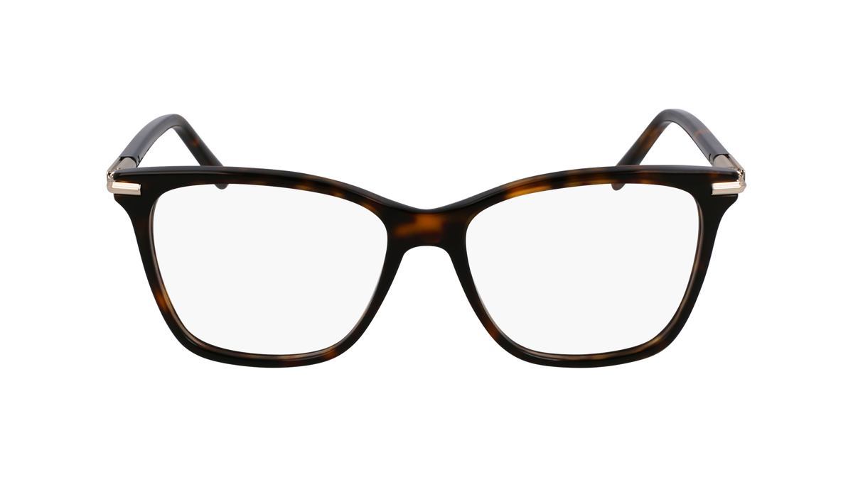 Ferragamo SF3013 242