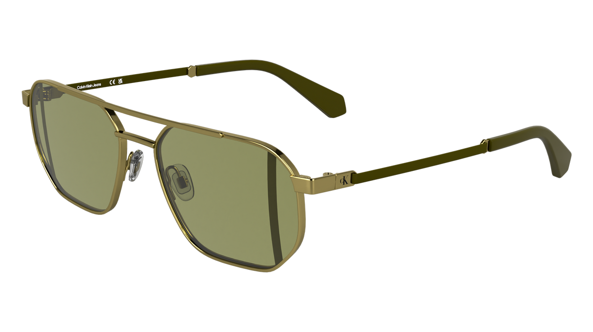 Calvin Klein CKJ25202S 717