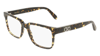 Ferragamo SF3075 242